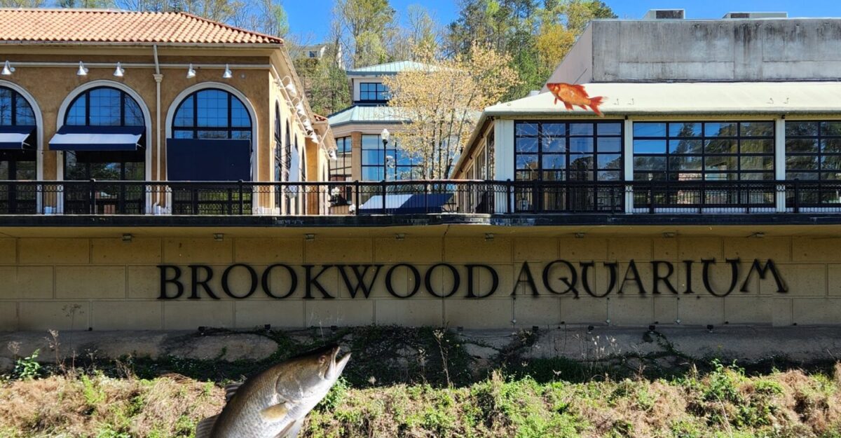 Birmingham Aquarium joke gets surprising local support
