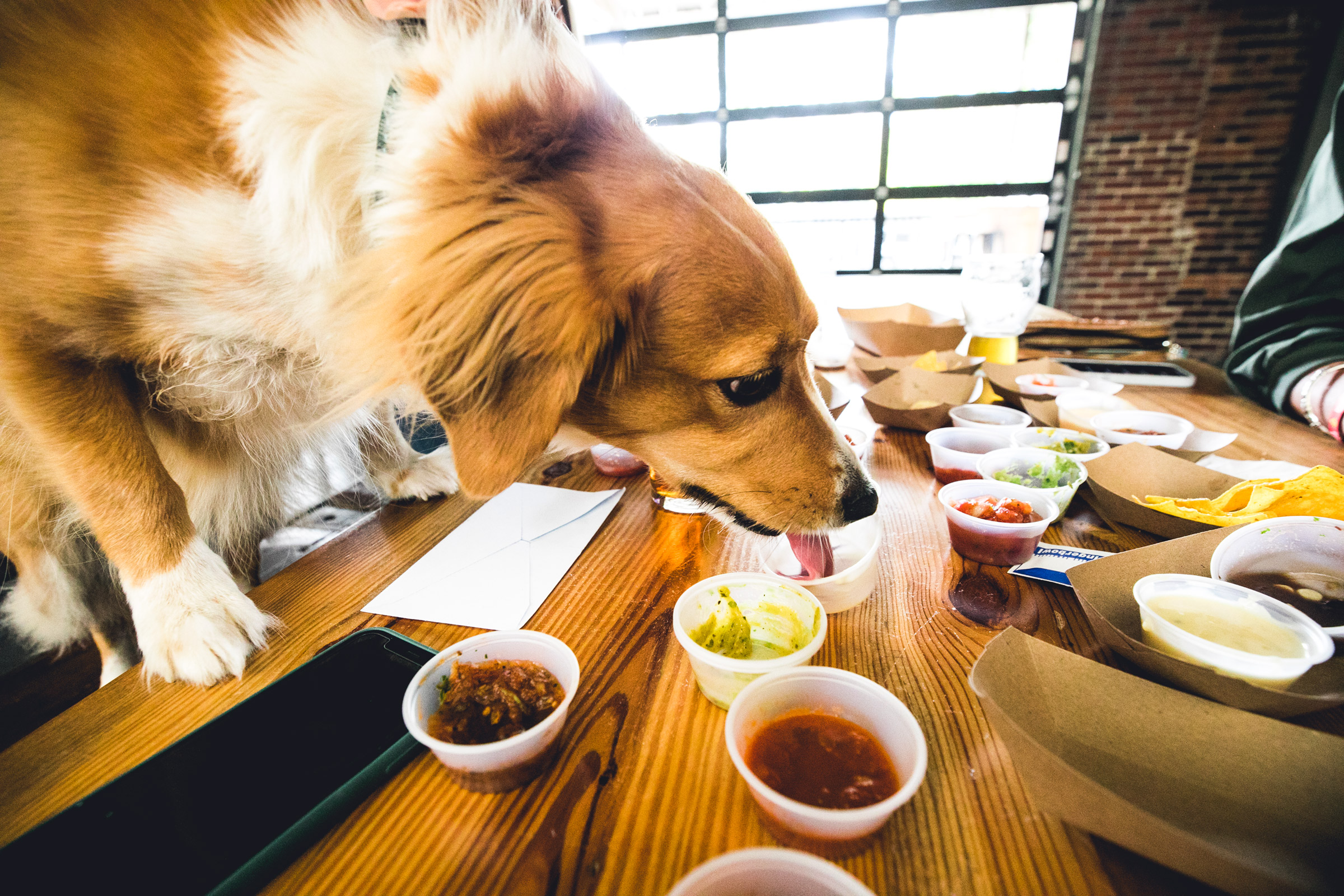 5 reasons you’ll love the Salsa Showdown at Cahaba Brewing, May 25 5 reasons you’ll love the Salsa Showdown at Cahaba Brewing, May 25