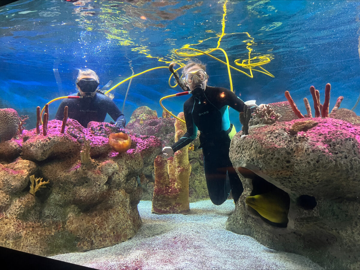 5 reasons this Birmingham gem should be on everyone’s summer bucket list