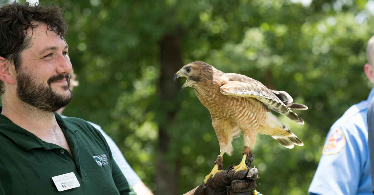 Urgent need at Alabama Wildlife Center—how you can help now
