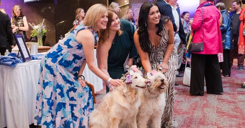 Picasso Pets invites you to celebrate awesome animals on Aug. 17—register now Picasso Pets invites you to celebrate awesome animals on Aug. 17—register now