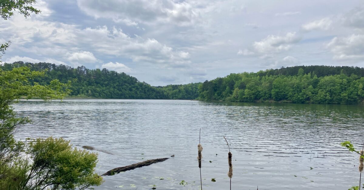 Land Trust acquires 366 acres at confluence of the Black Warrior ...