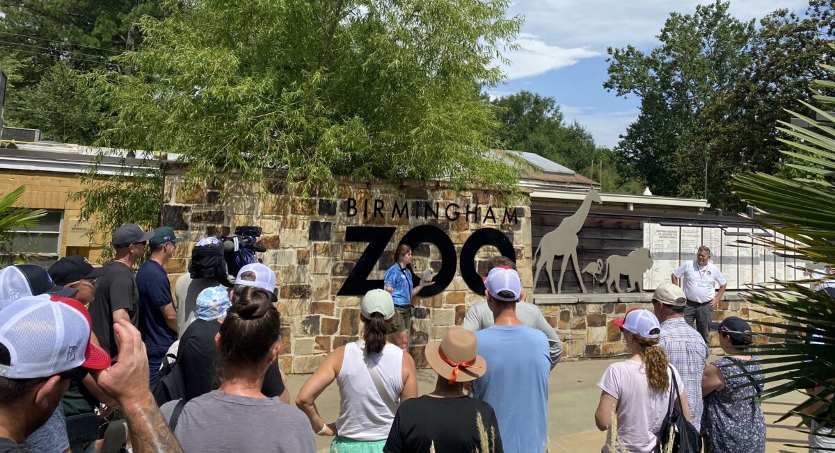Australian athletes visit Birmingham Zoo to see animals from down under Australian athletes visit Birmingham Zoo to see animals from down under