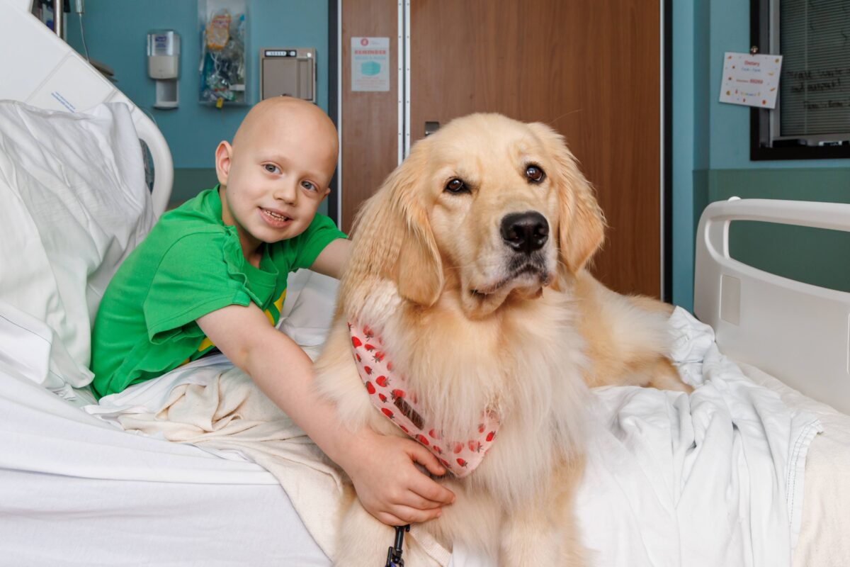 The unbreakable bond of a 6-year-old boy + Wanda the medical dog