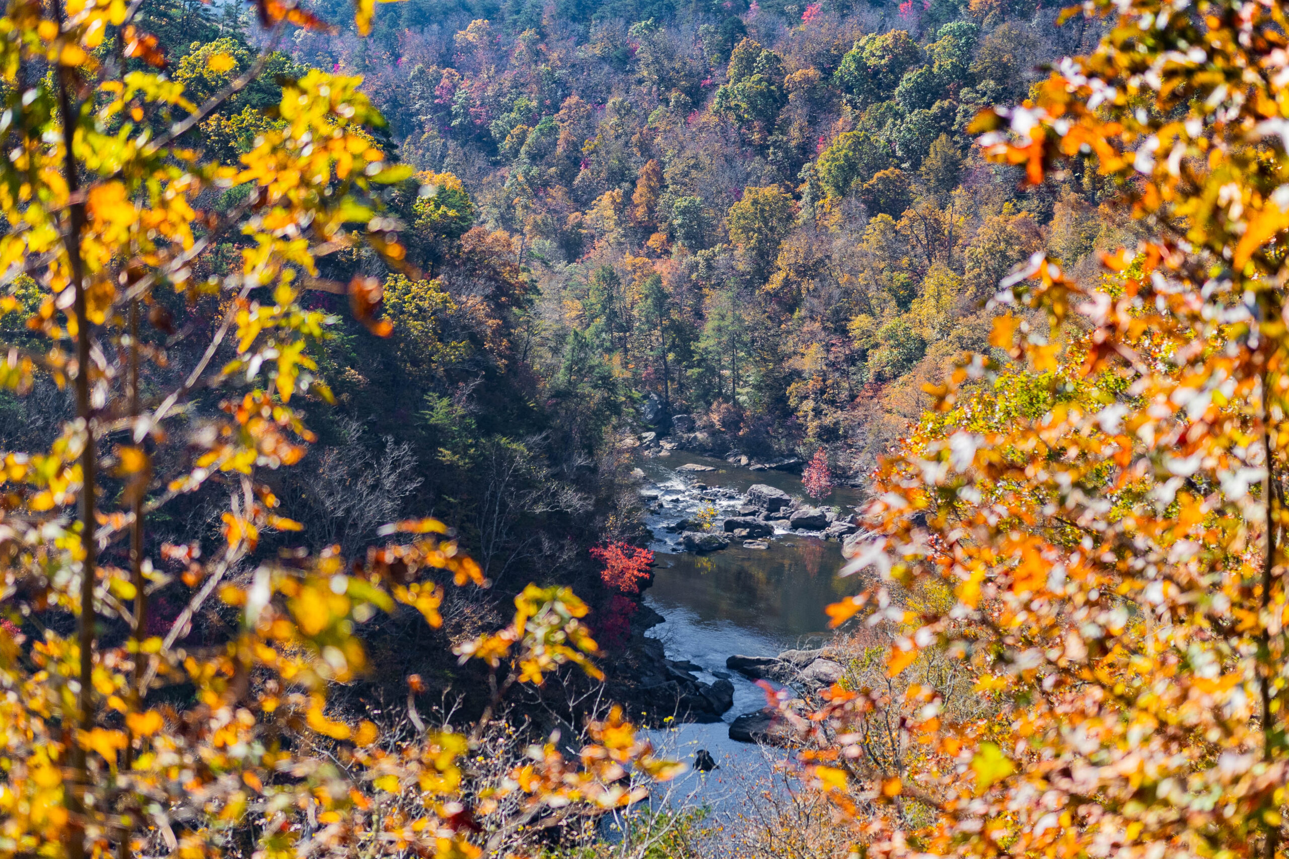 Your beautiful fall mountaintop getaway in North AL—a Fall Festival, lodging + more in Mentone Your beautiful fall mountaintop getaway in North AL—a Fall Festival, lodging + more in Mentone