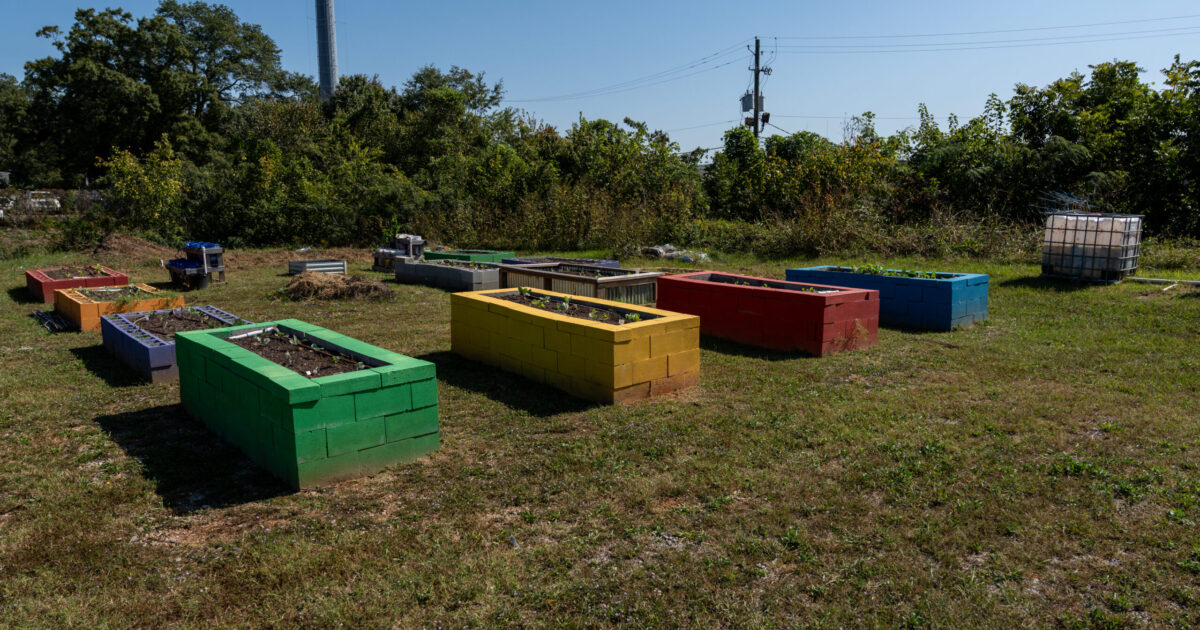 Thriving new community garden blossoms in Midfield Thriving new community garden blossoms in Midfield
