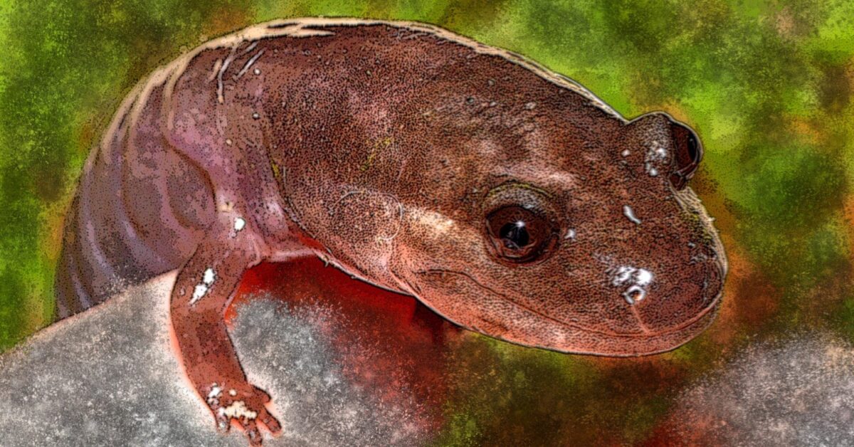 These 5 animals in Alabama are not found anywhere else in the world These 5 animals in Alabama are not found anywhere else in the world