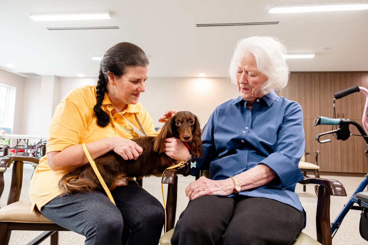 Meet this special dog + volunteer duo changing lives with Hand in Paw Meet this special dog + volunteer duo changing lives with Hand in Paw