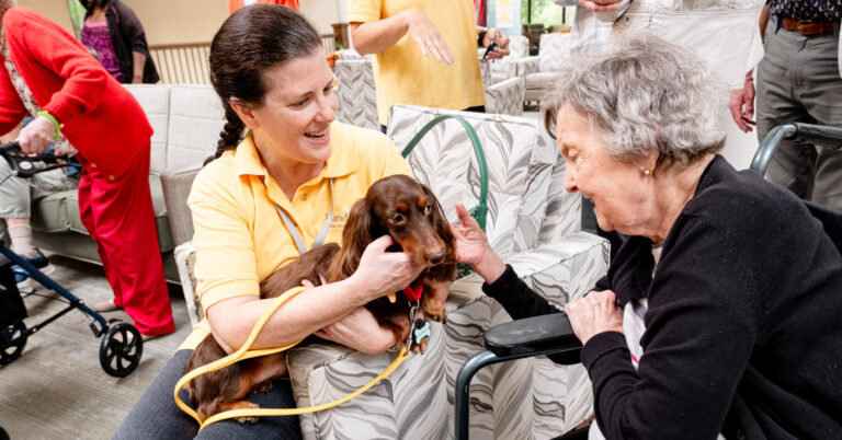 .5K awarded to ten local nonprofits from Remy Fund for Pets .5K awarded to ten local nonprofits from Remy Fund for Pets