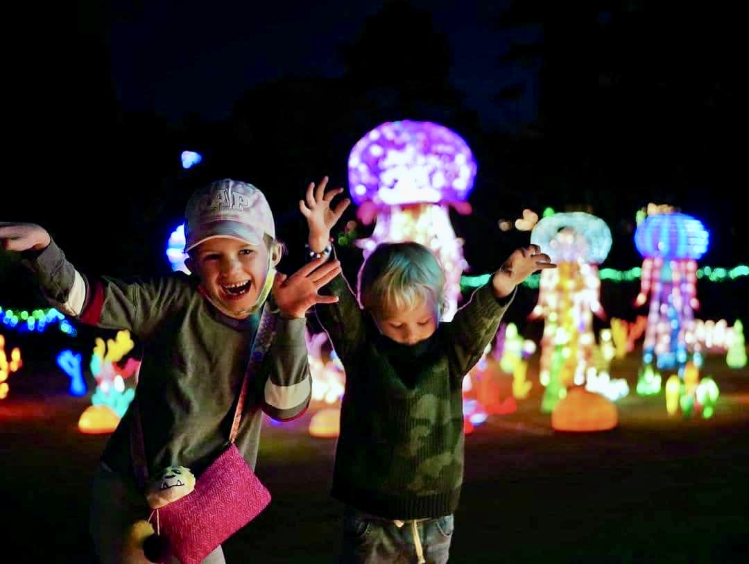 25 festive December events in Birmingham including Glow Wild 25 festive December events in Birmingham including Glow Wild