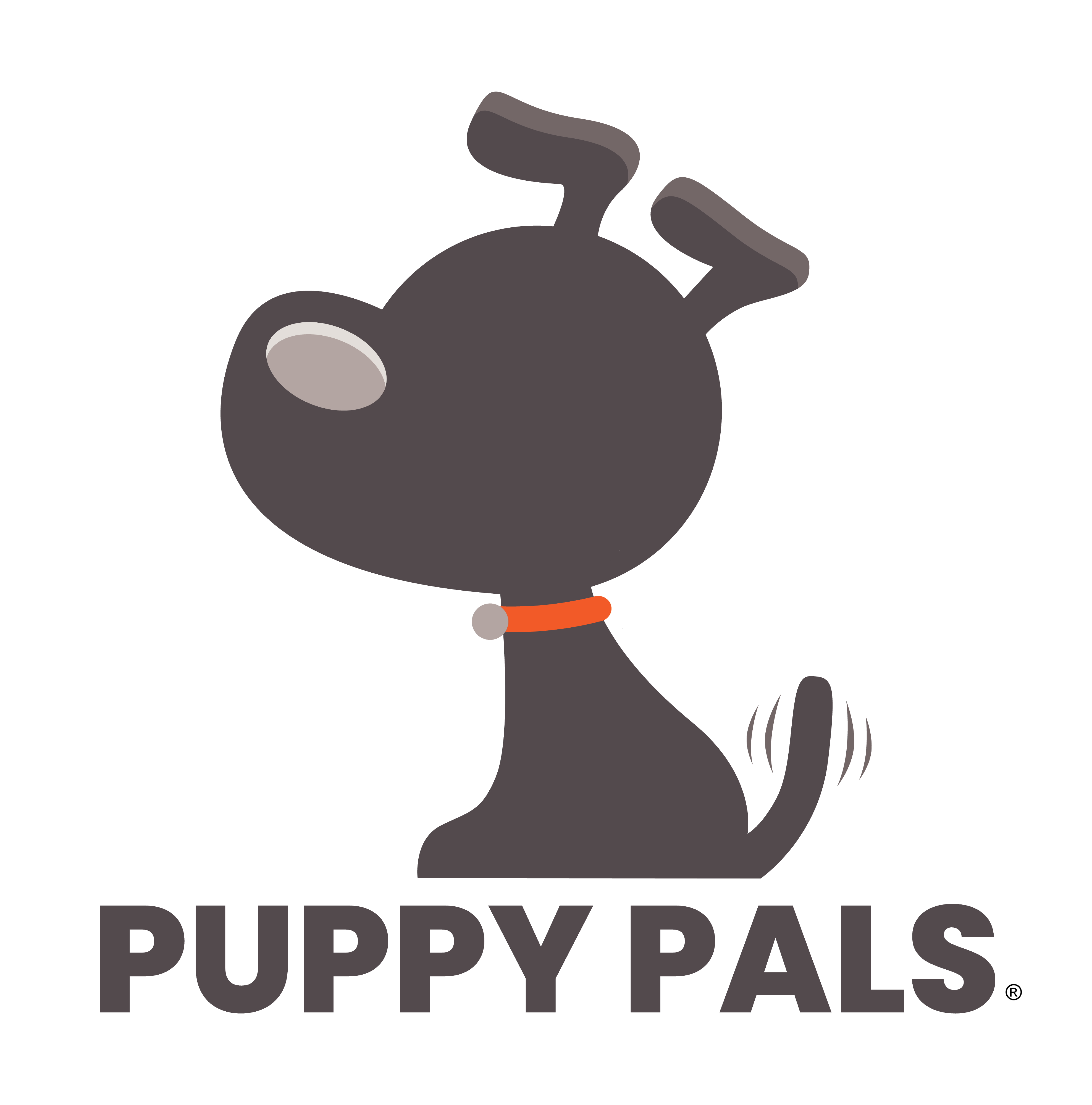 Birmingham, AL Puppy Pals Speed Mingle Experience