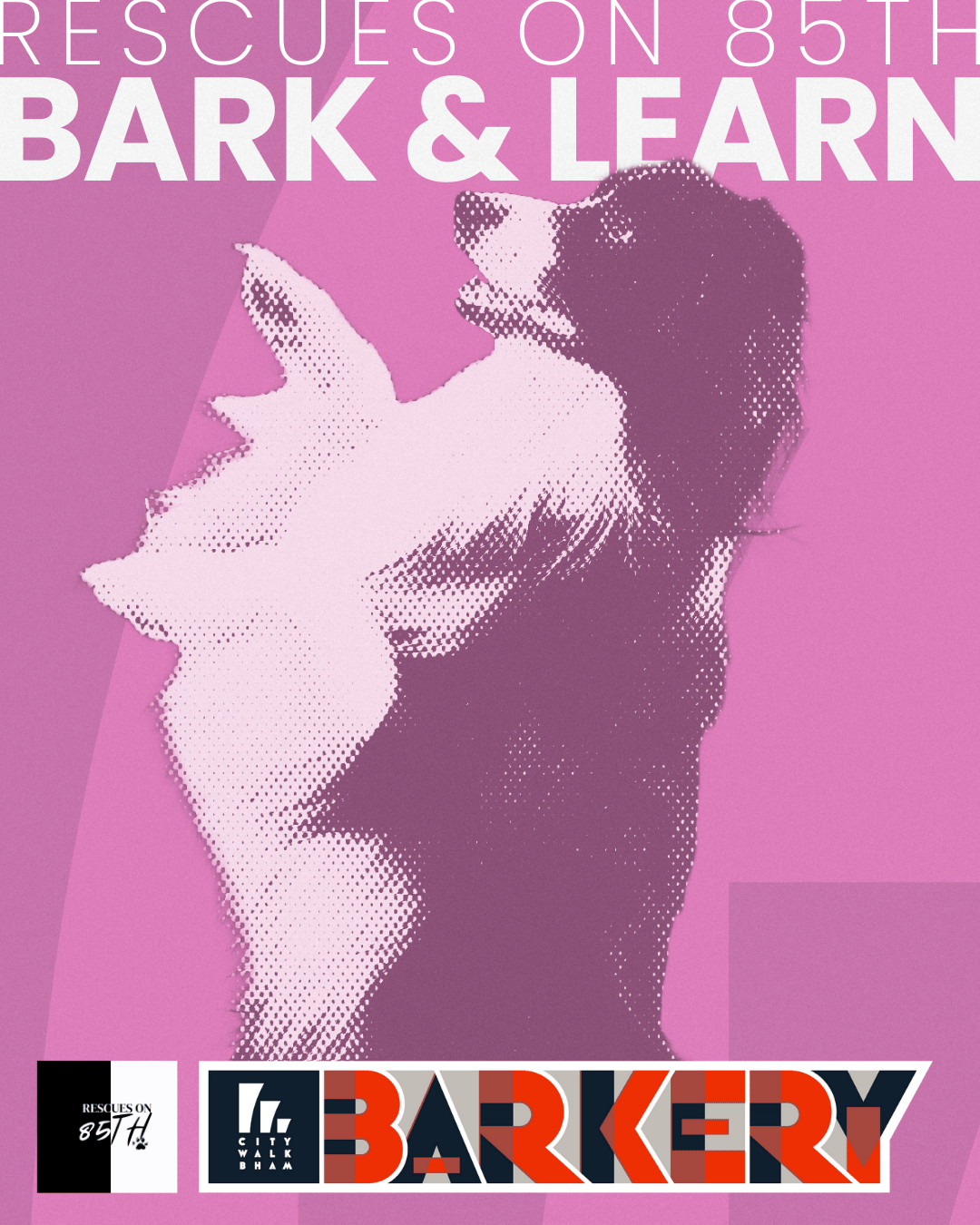 Rescues on 85th Bark and Learn