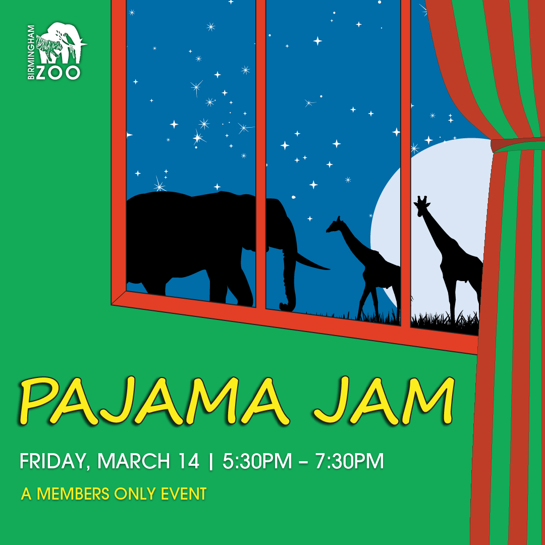 Pajama Jam: Members only event