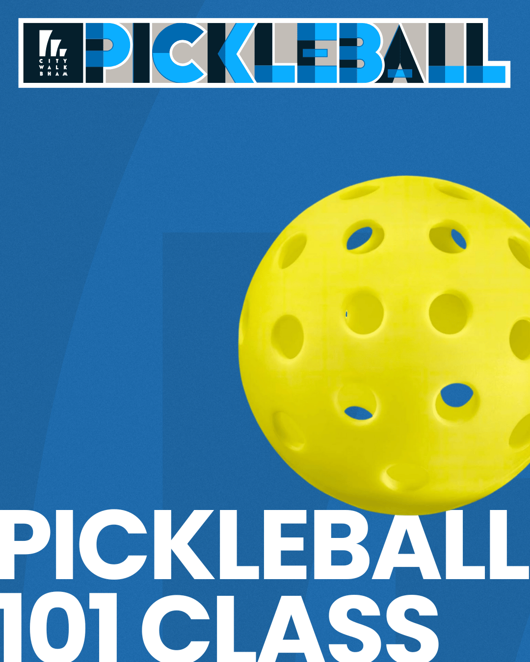 Pickleball 101 Class