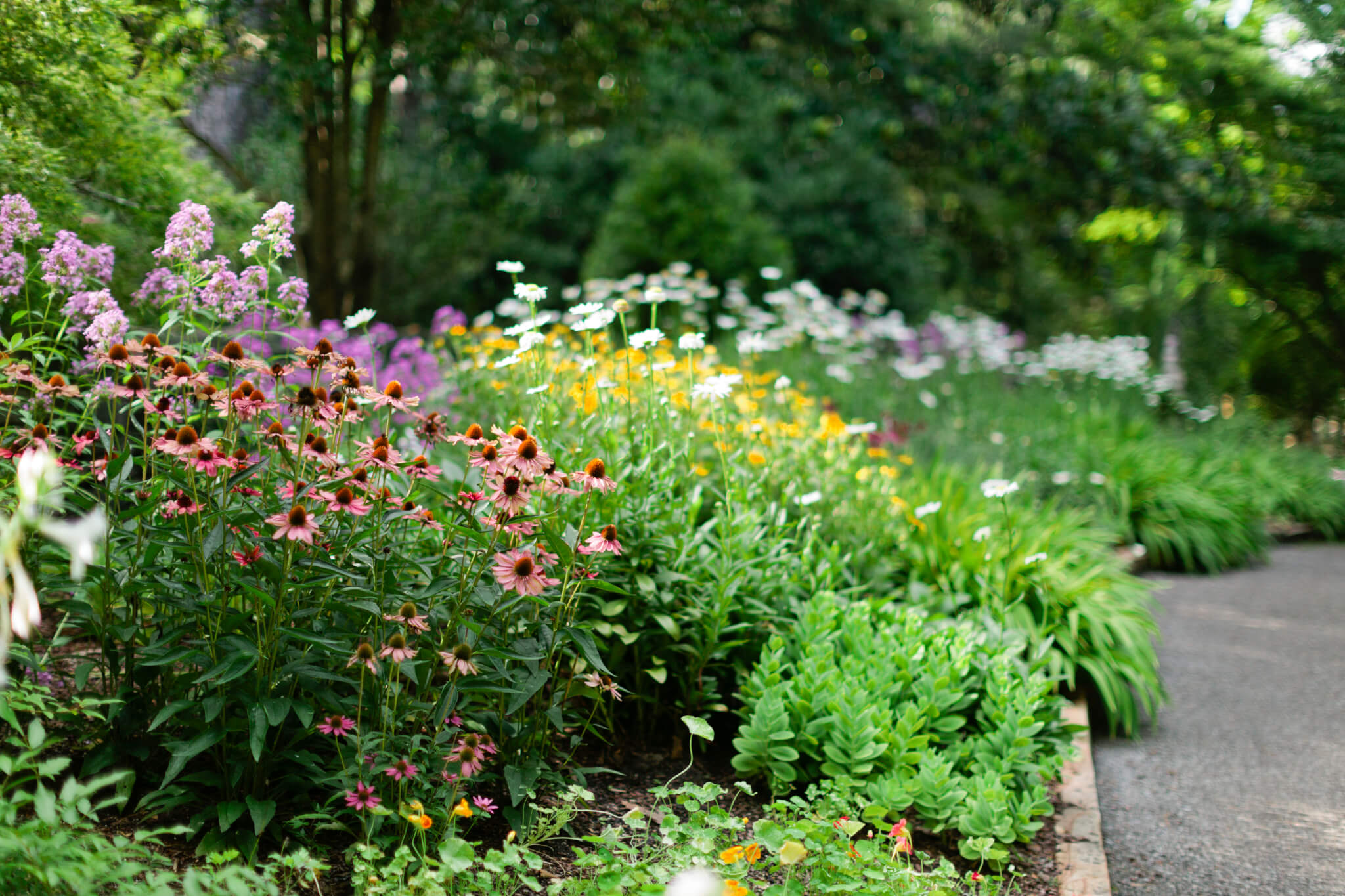 A Beginner’s Guide to Creating A Flower Bed