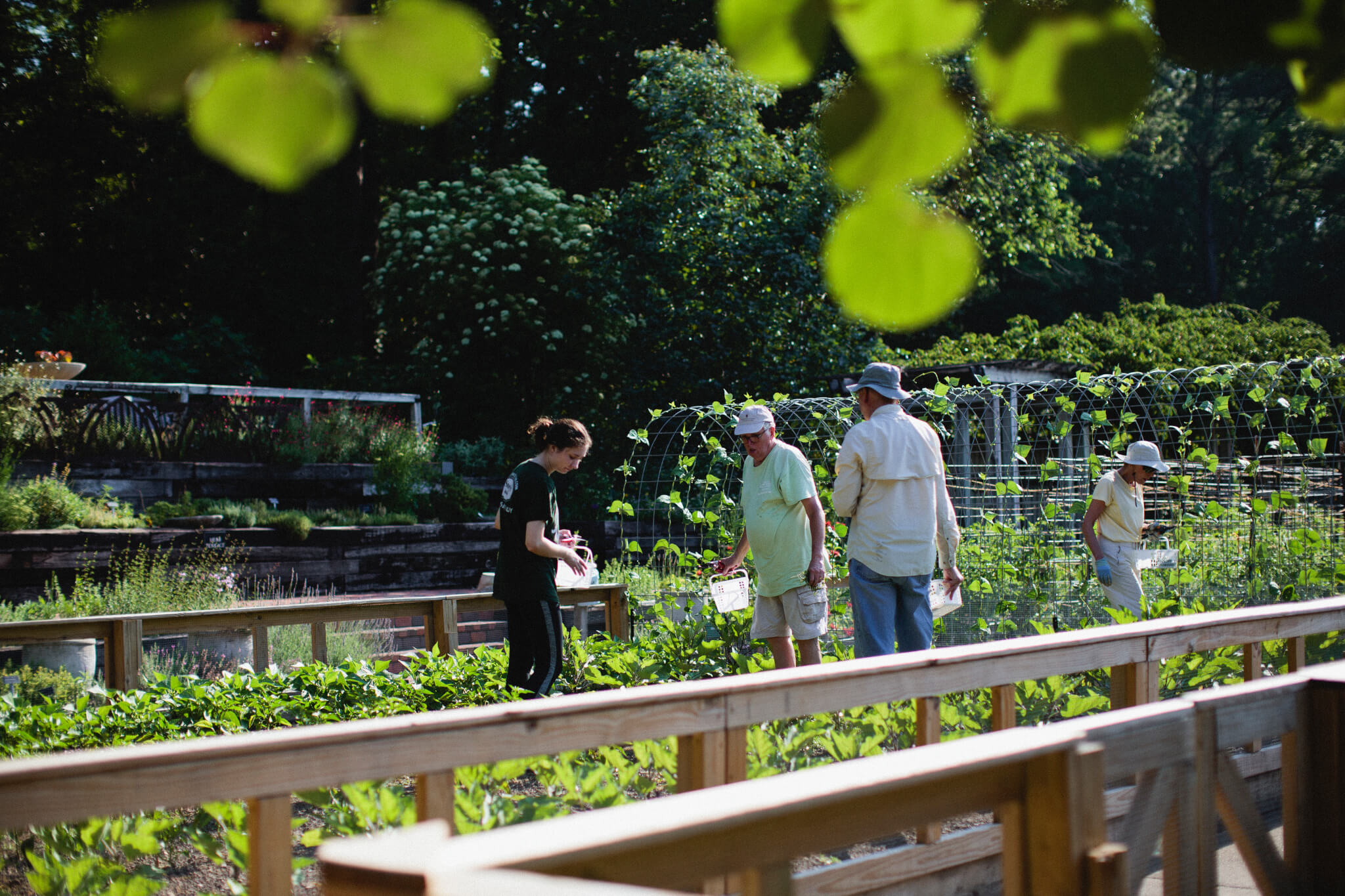 Bruno Vegetable Garden and 
Herb Terrace Tour