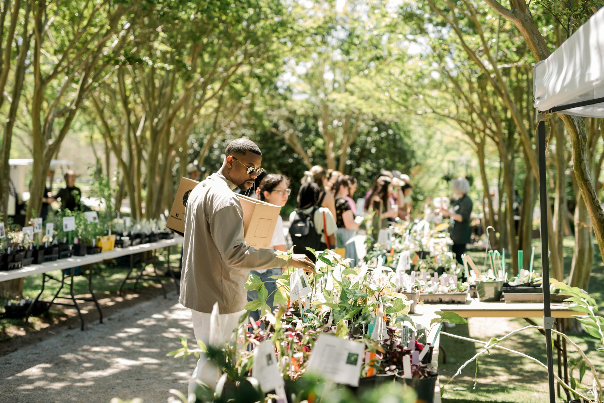 3 reasons to love Birmingham Botanical Gardens + become a member [DISCOUNT CODE: $10 off in May]