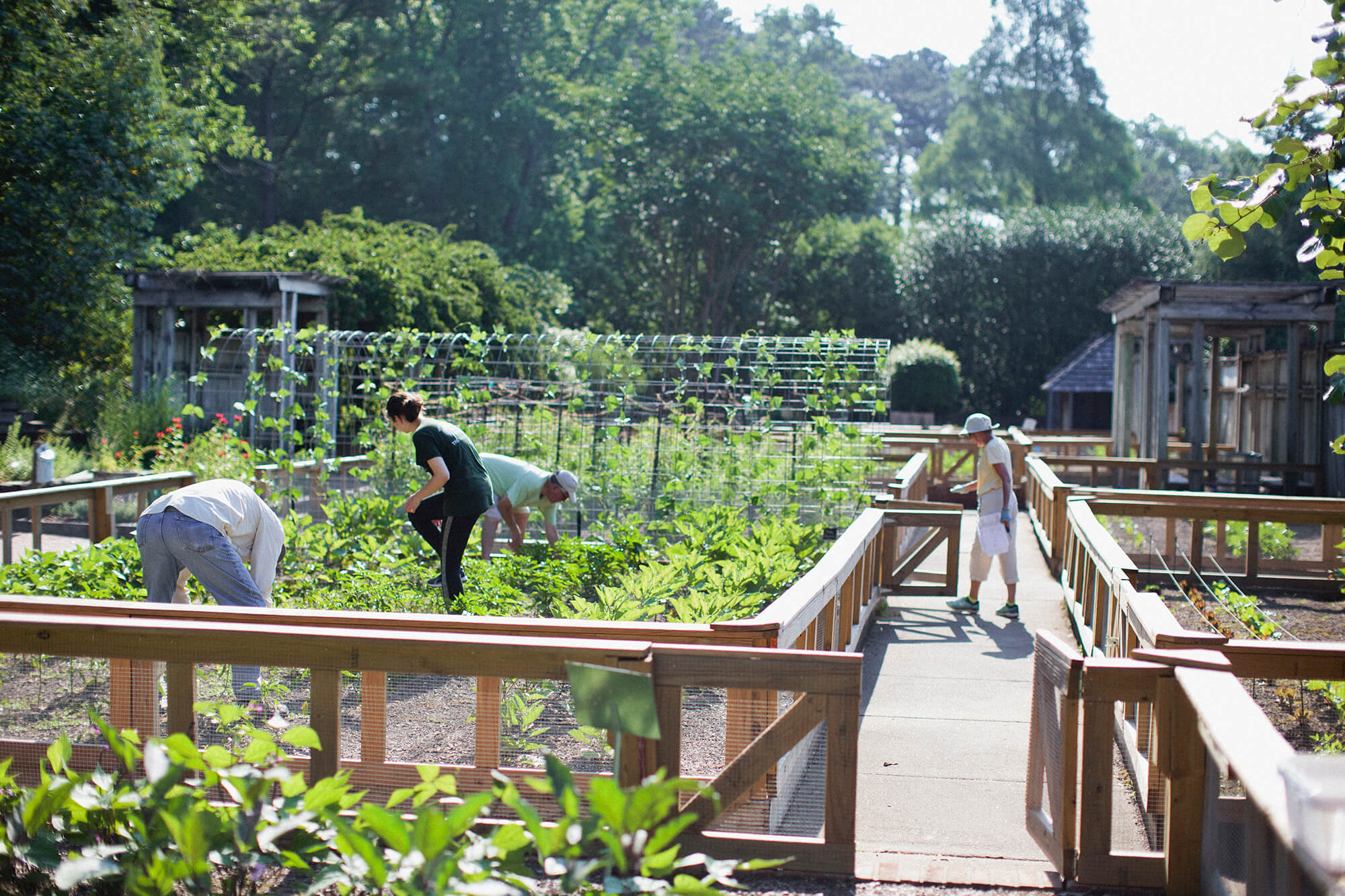 Community Spring Planting
