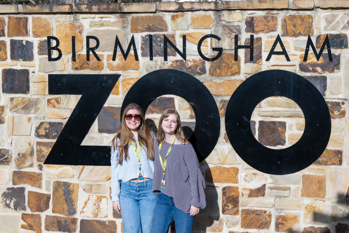 6 end-of-summer activities to keep you entertained at the Birmingham Zoo