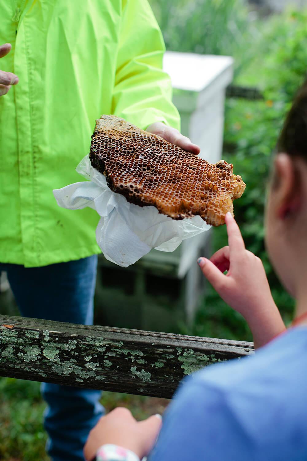 Best in Show: Nature’s Treasures  