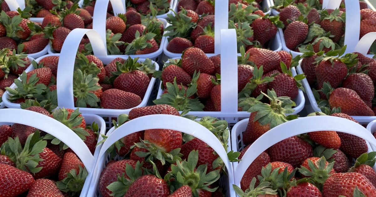 Shop local with these summer farmers’ markets in + around Birmingham