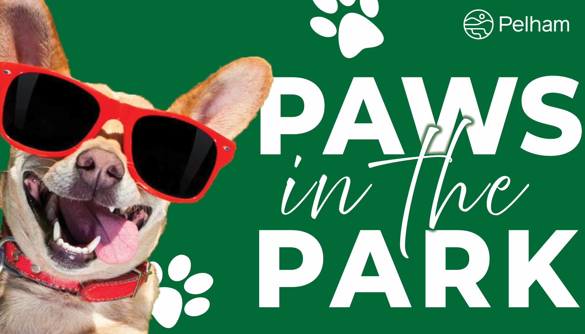 Paws in the Park