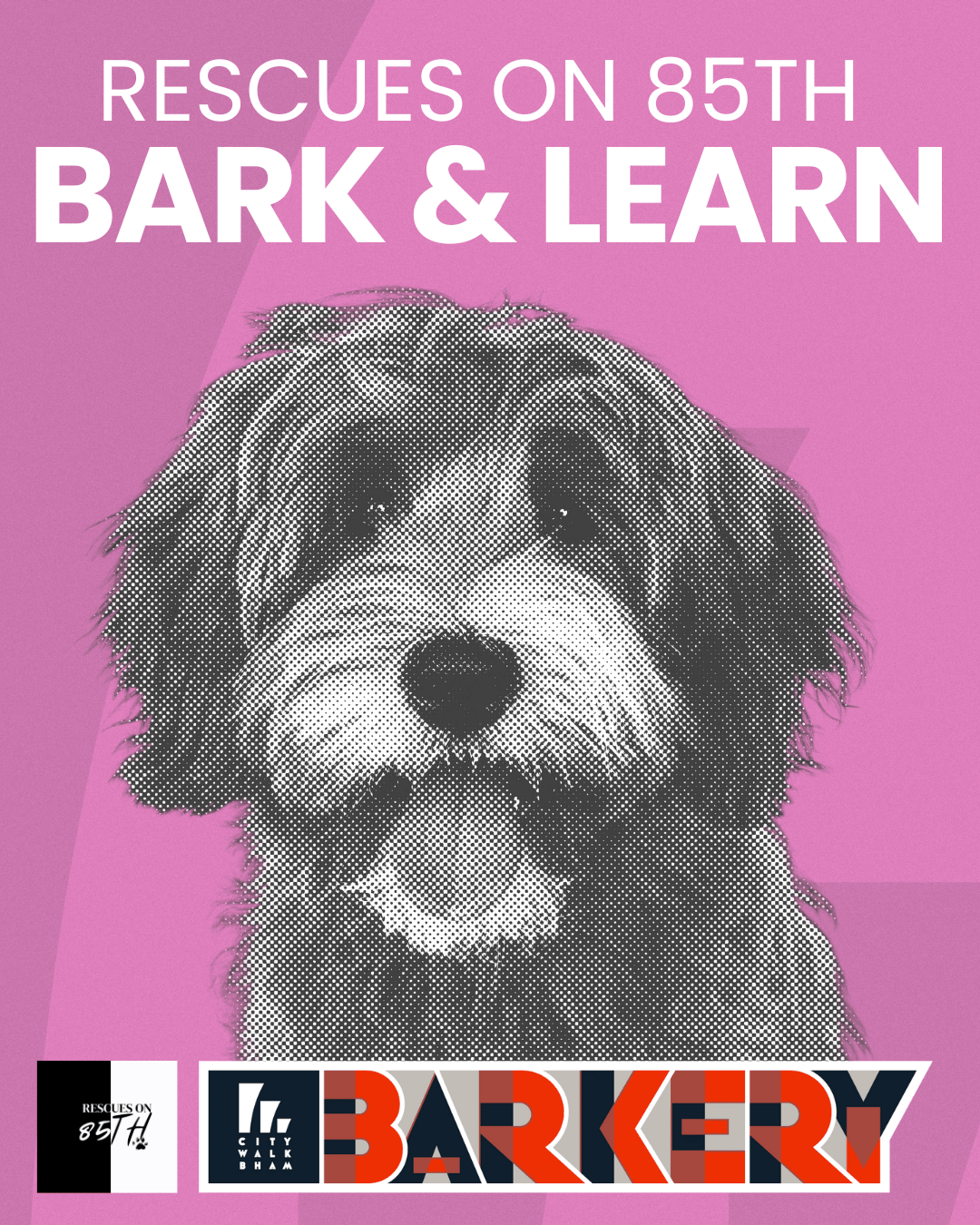 Bark and Learn