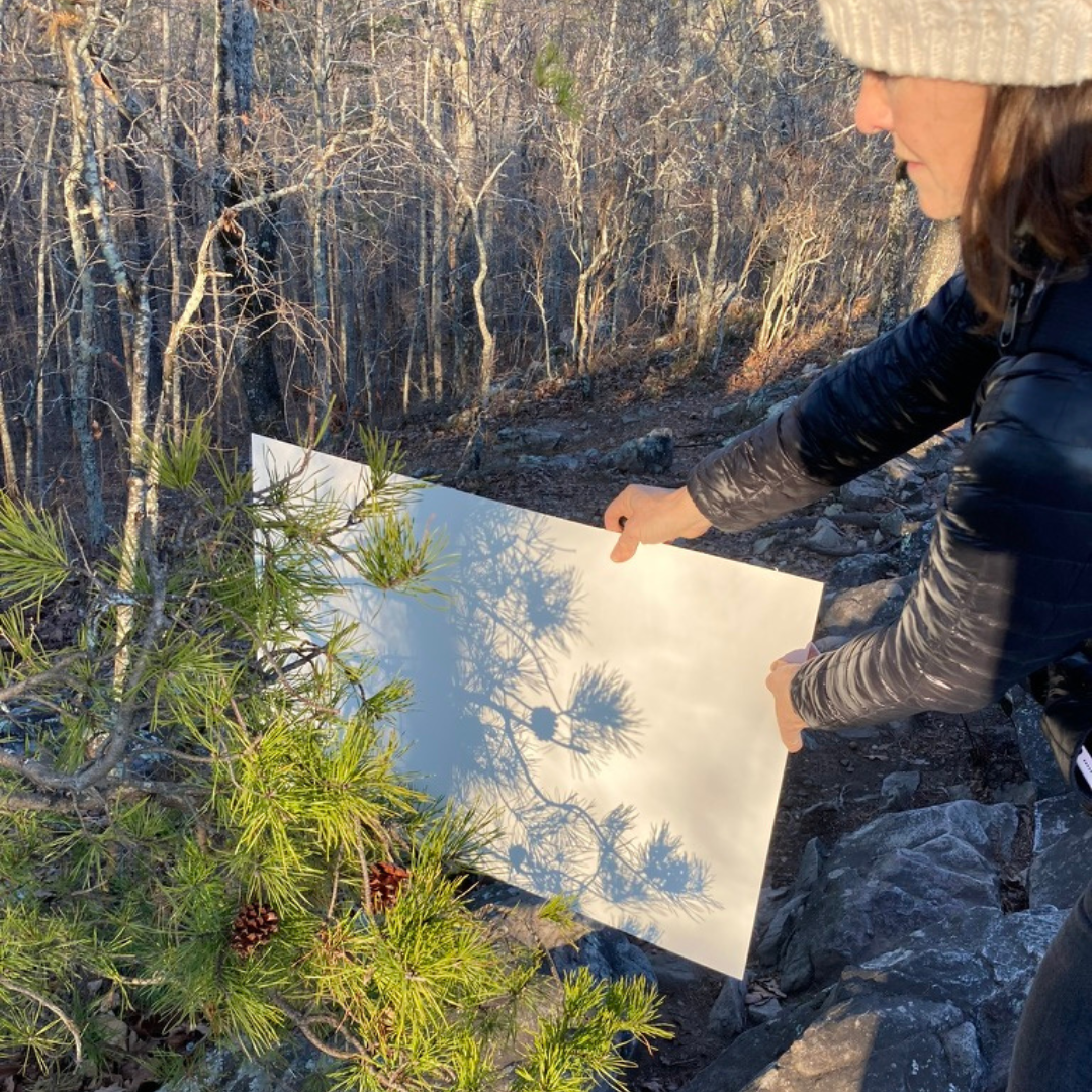 Sense & Response – Nature Drawing Workshop