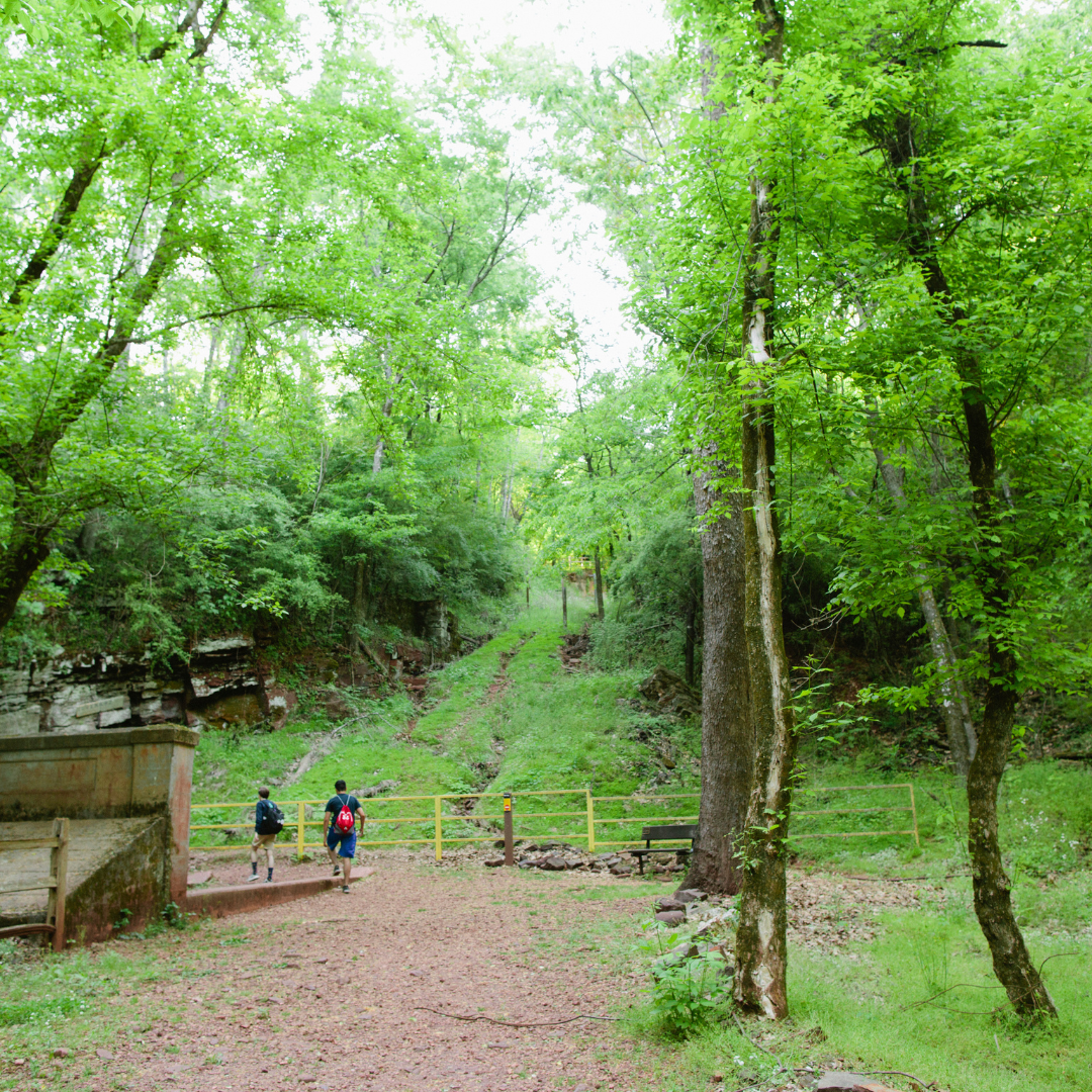 Red Mountain Park 101