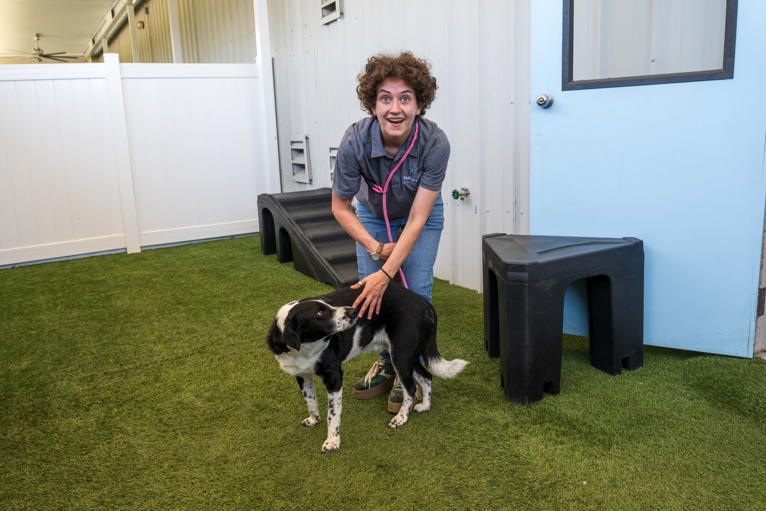 3 things to know about this local doggie resort