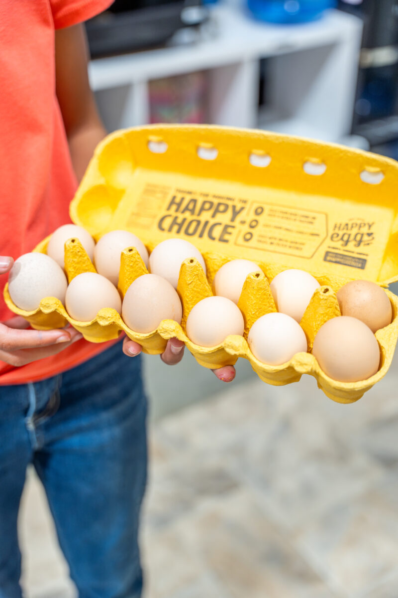 Check out this Birmingham-area school's holistic approach to learning 11 The Hillsboro School 153 Check out this Birmingham-area school's holistic approach to learning