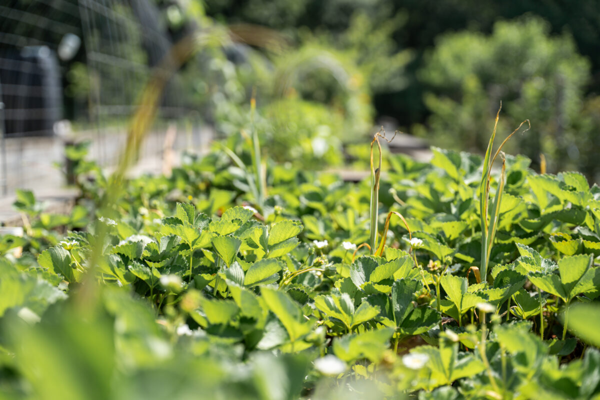 Check out this Birmingham-area school's holistic approach to learning 12 The Hillsboro School 158 Check out this Birmingham-area school's holistic approach to learning