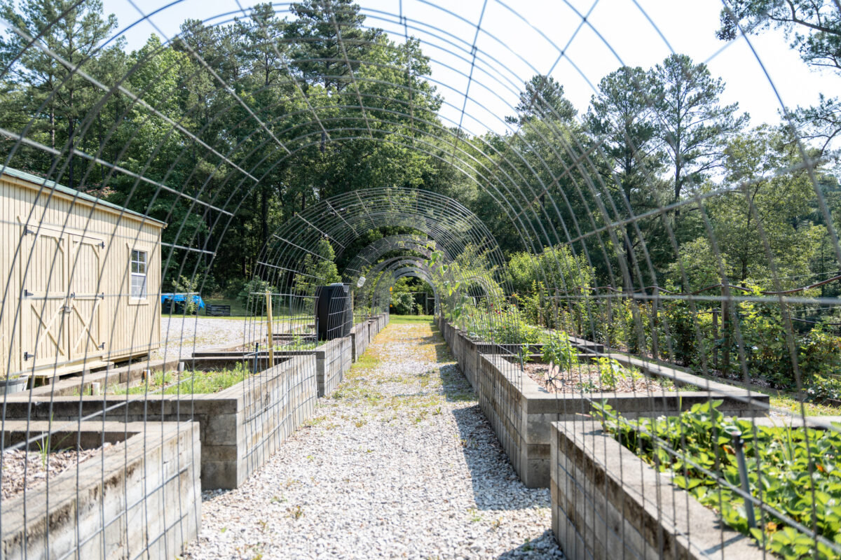 Check out this Birmingham-area school's holistic approach to learning 13 The Hillsboro School 159 Check out this Birmingham-area school's holistic approach to learning