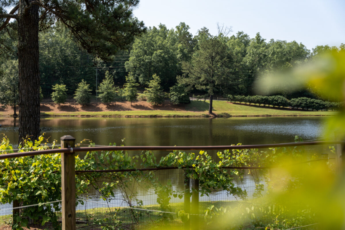 Check out this Birmingham-area school's holistic approach to learning 10 The Hillsboro School 169 Check out this Birmingham-area school's holistic approach to learning