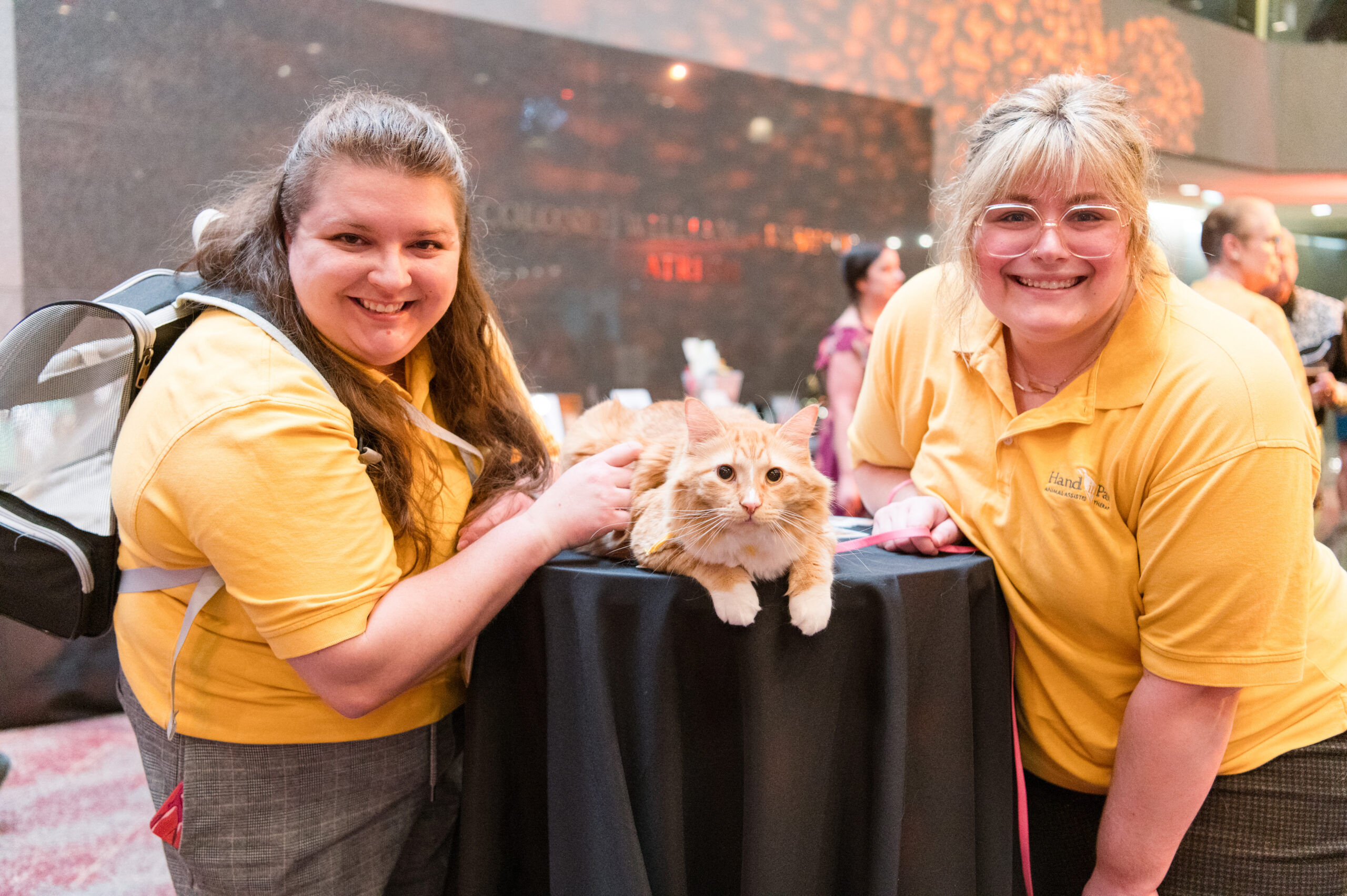 Support animal-assisted therapy at this superhero-themed gala, August 23
