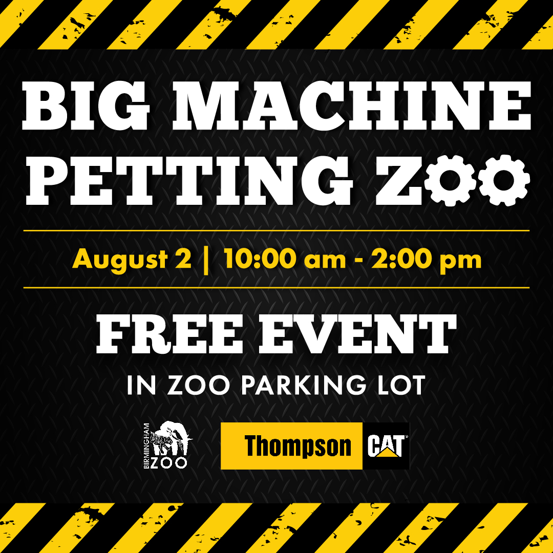 Big Machine Petting Zoo