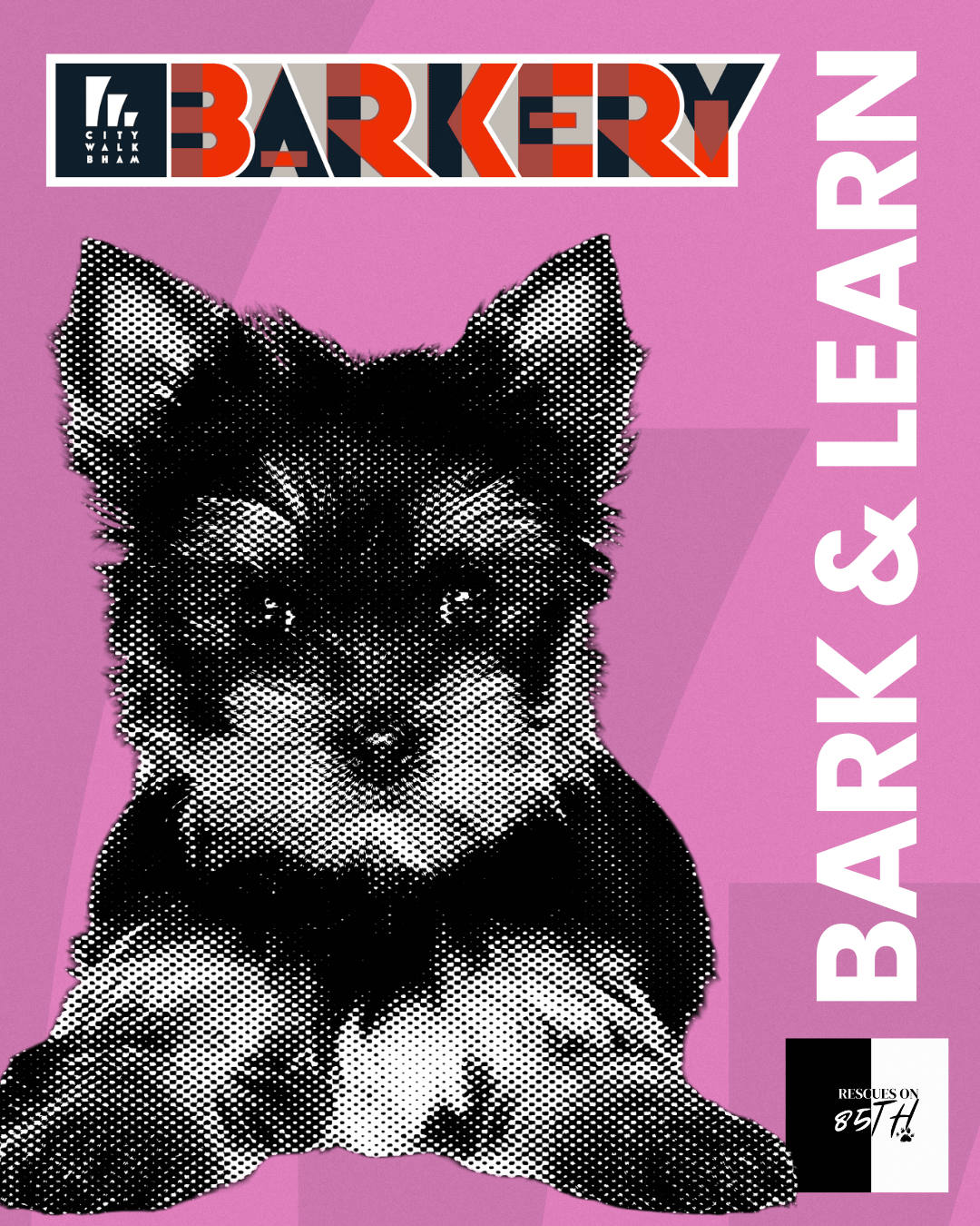 Bark and Learn