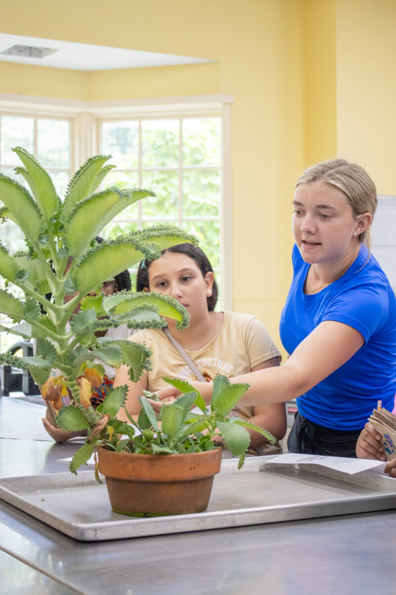 Auburn student teaching landscaping workshop