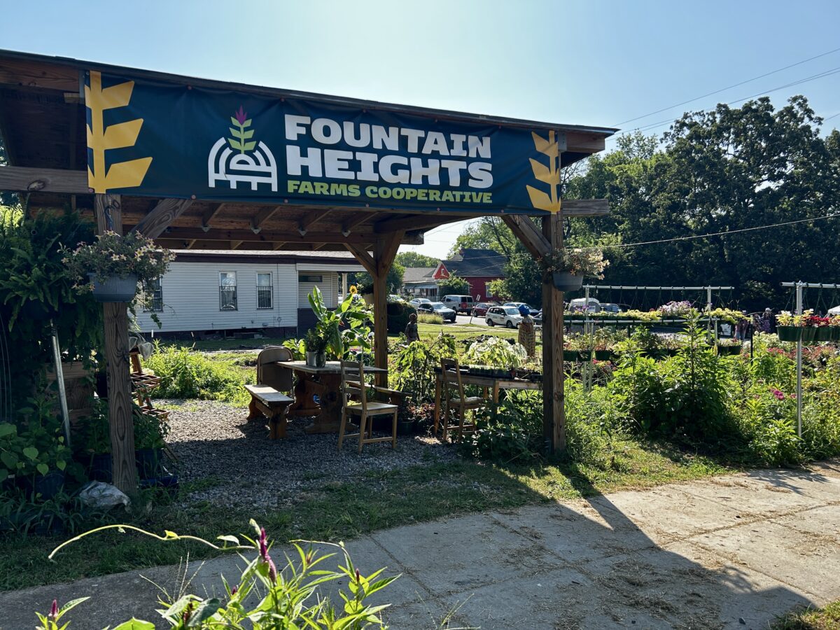 Fountain Heights Farms Cooperative aims to have 119 farms by 2030 3 IMG 4461 Fountain Heights Farms Cooperative aims to have 119 farms by 2030