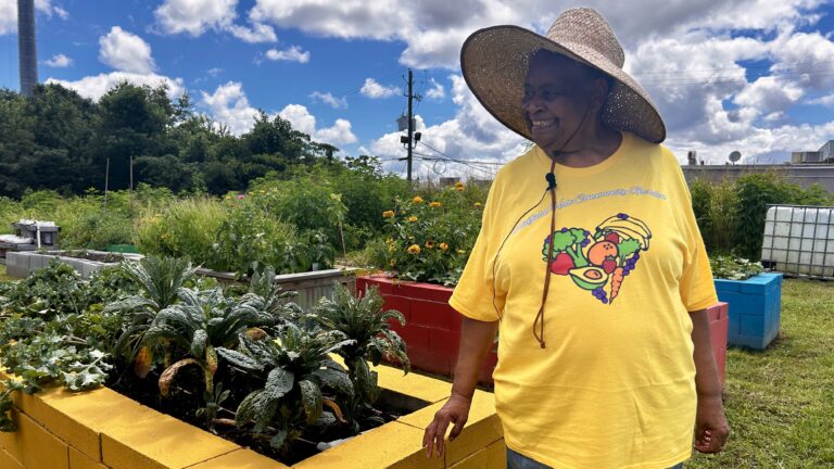 Midfield-Holt Community Garden blooms with new orchard, pavilion + more