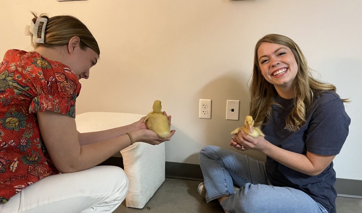 How this Auburn student landed her dream landscaping internship in Birmingham