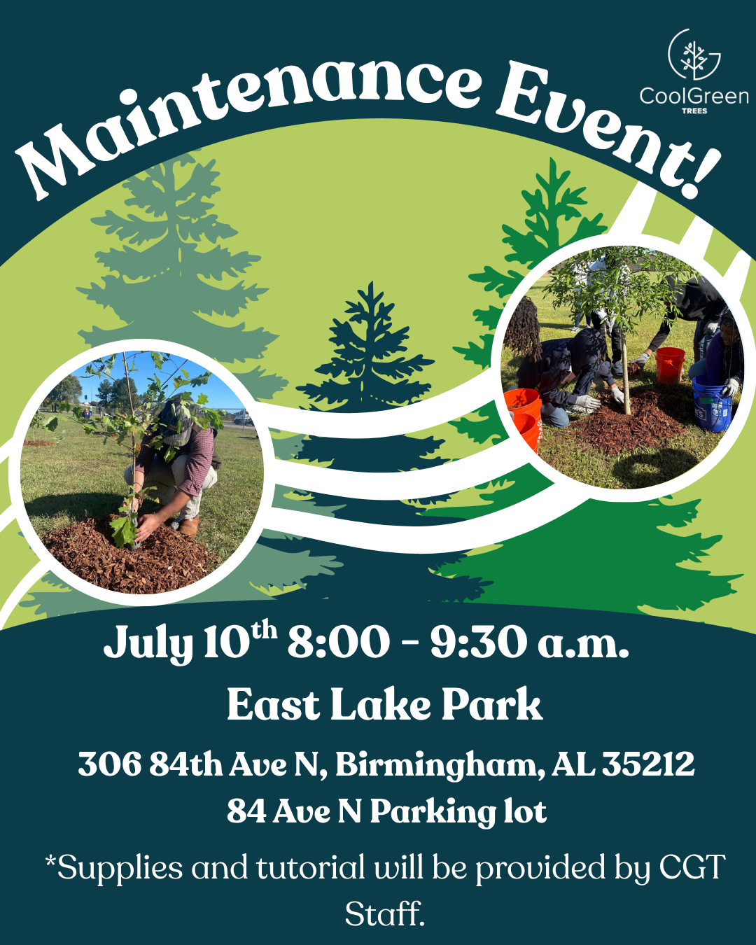 Tree Maintenance @ East Lake Park