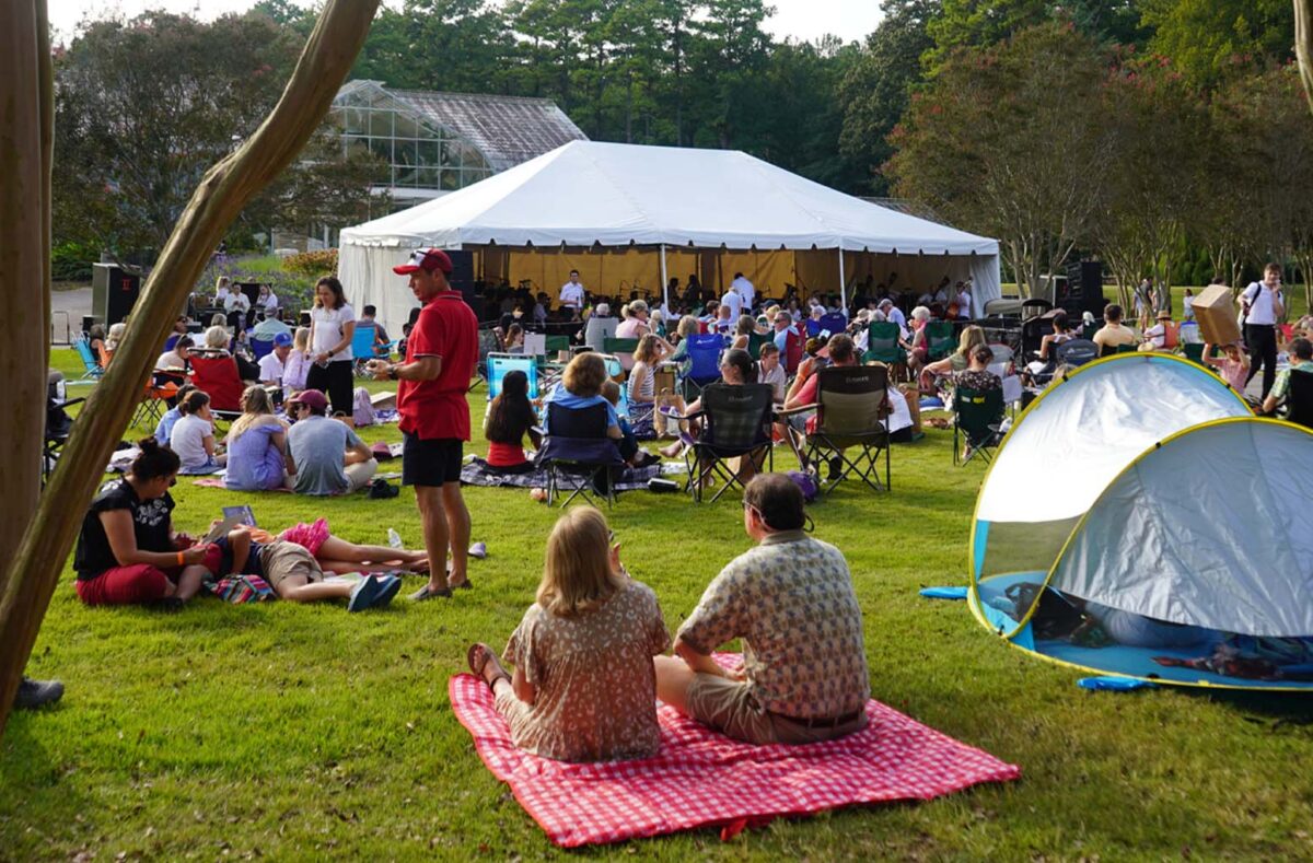 4 surprising ways to enjoy classical music in Birmingham, including a new performance at the zoo