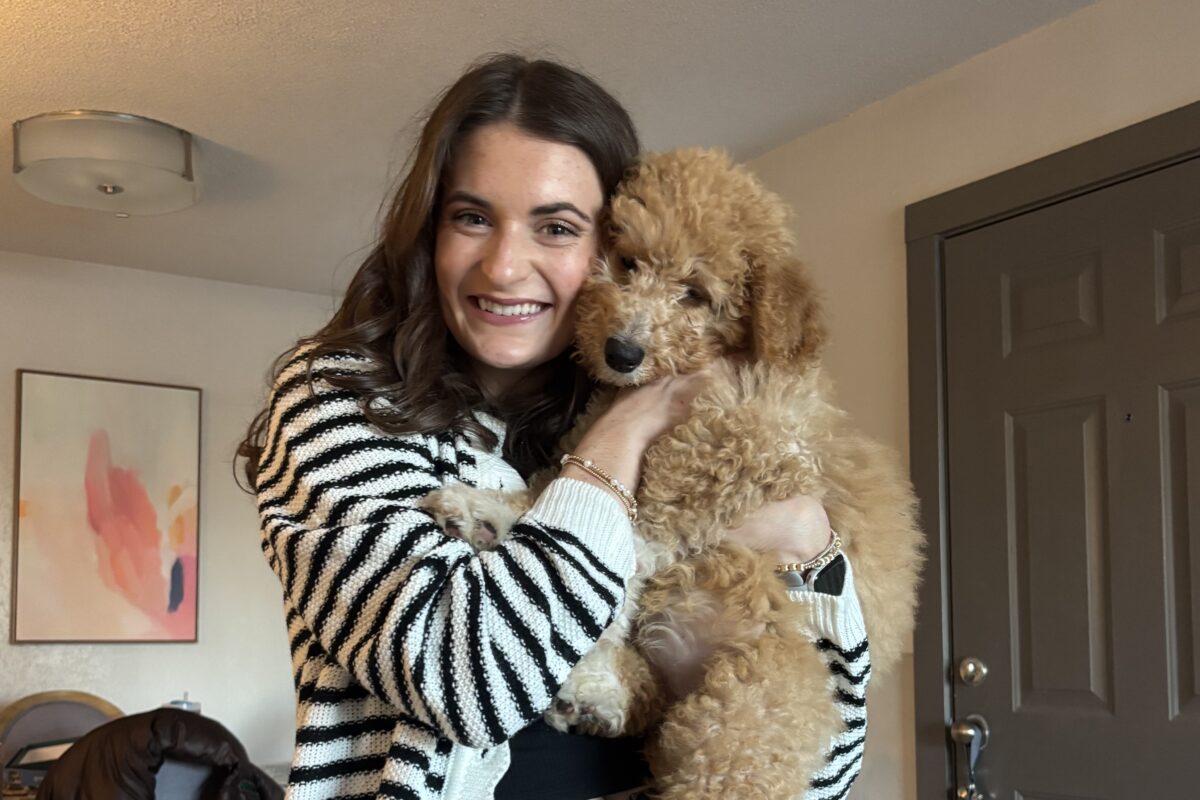 What makes Birmingham one of the most pet-friendly cities in 2025?