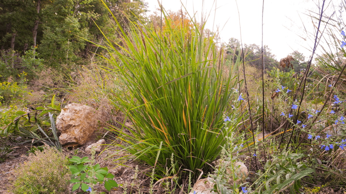 Creating a Rock Garden Creating a Rock Garden