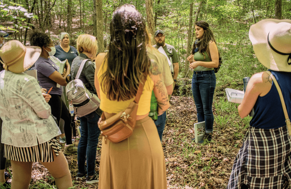 Tree Medicine Plant Walk Tree Medicine Plant Walk