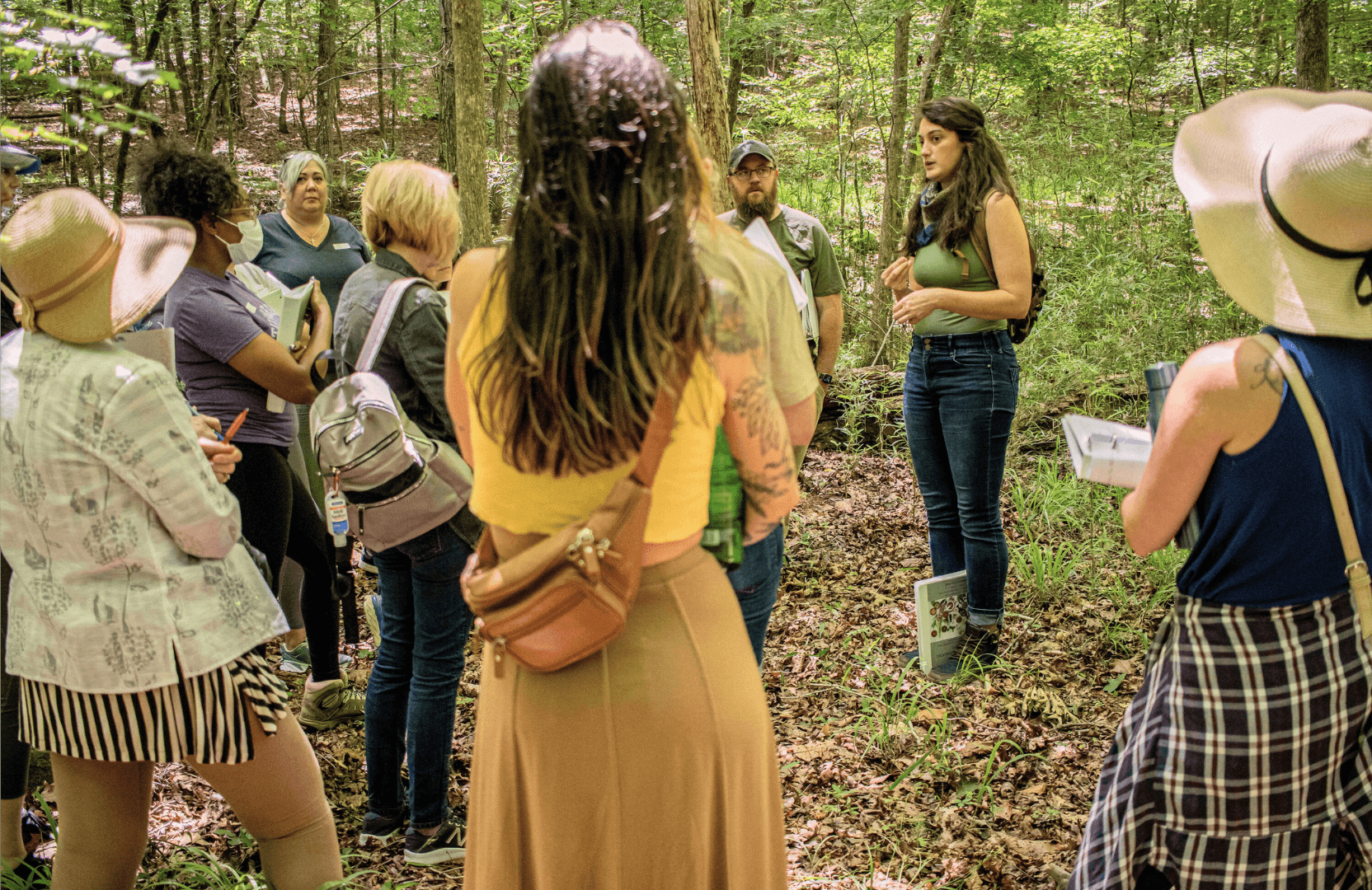 Tree Medicine Plant Walk