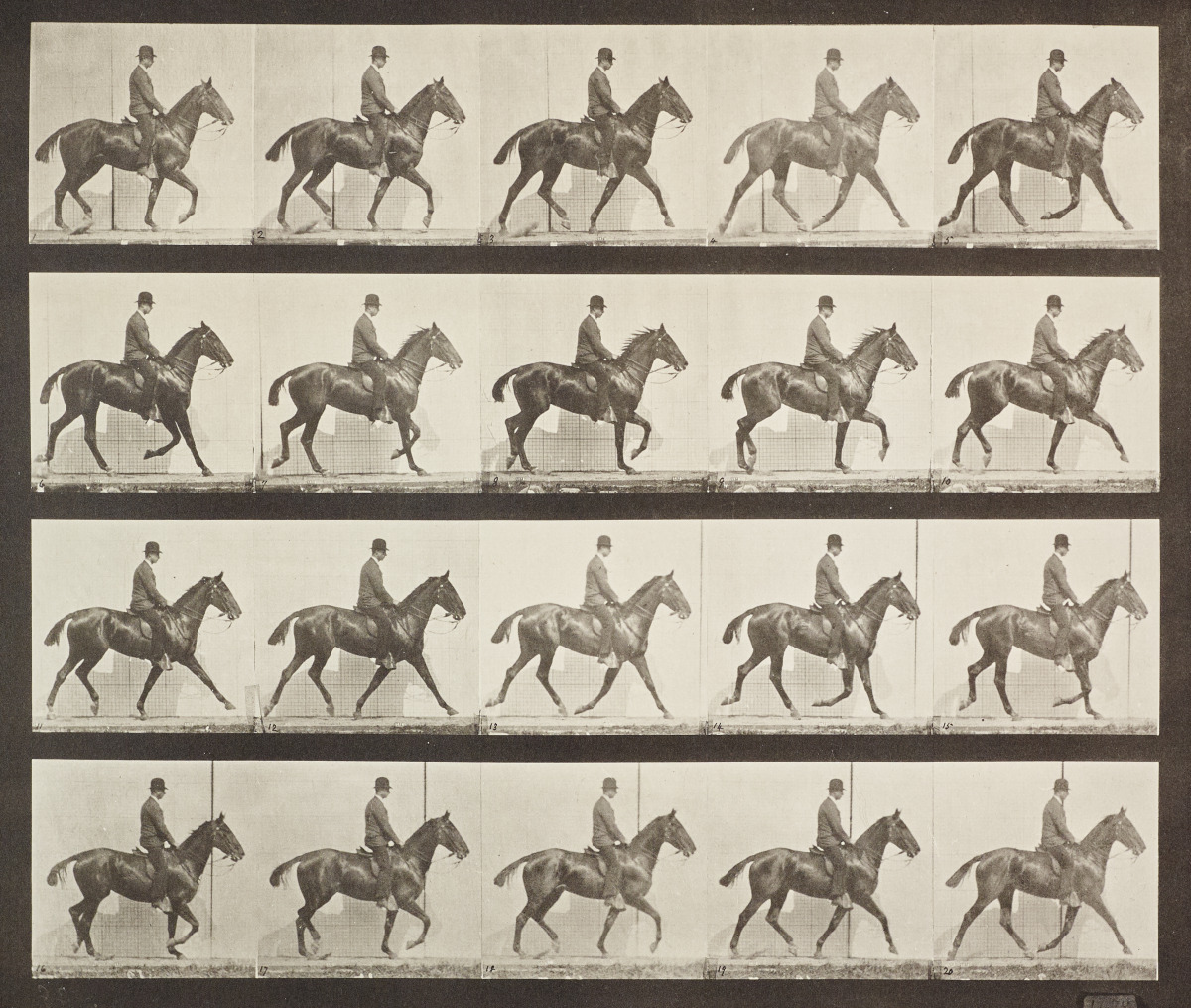 Lunch & Learn: Eadweard Muybridge and American Art