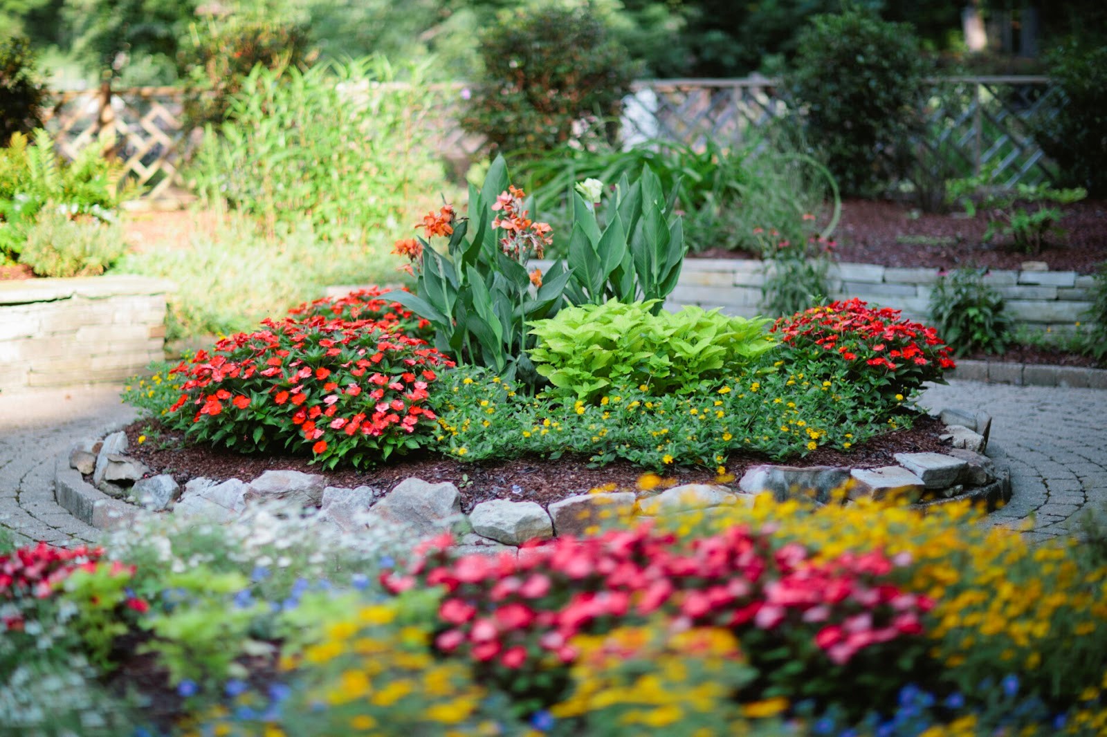 Collection Visit: Birmingham Botanical Gardens Library and Archives