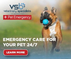 Veterinary Specialists of Birmingham